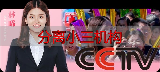 分离小三机构