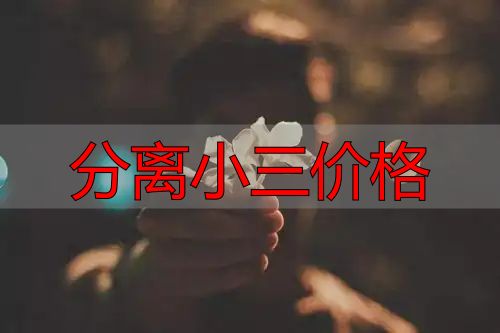 分离小三价格