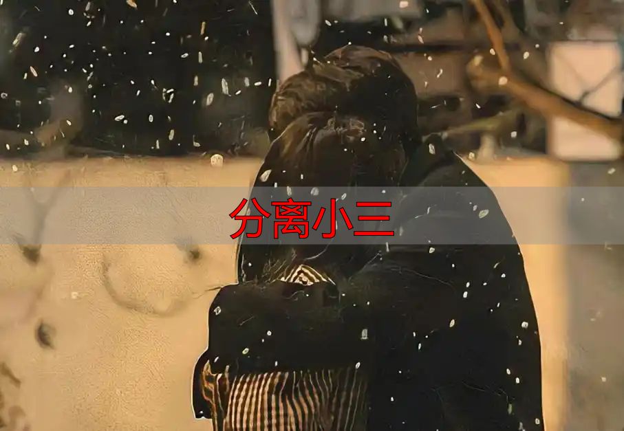 分离小三
