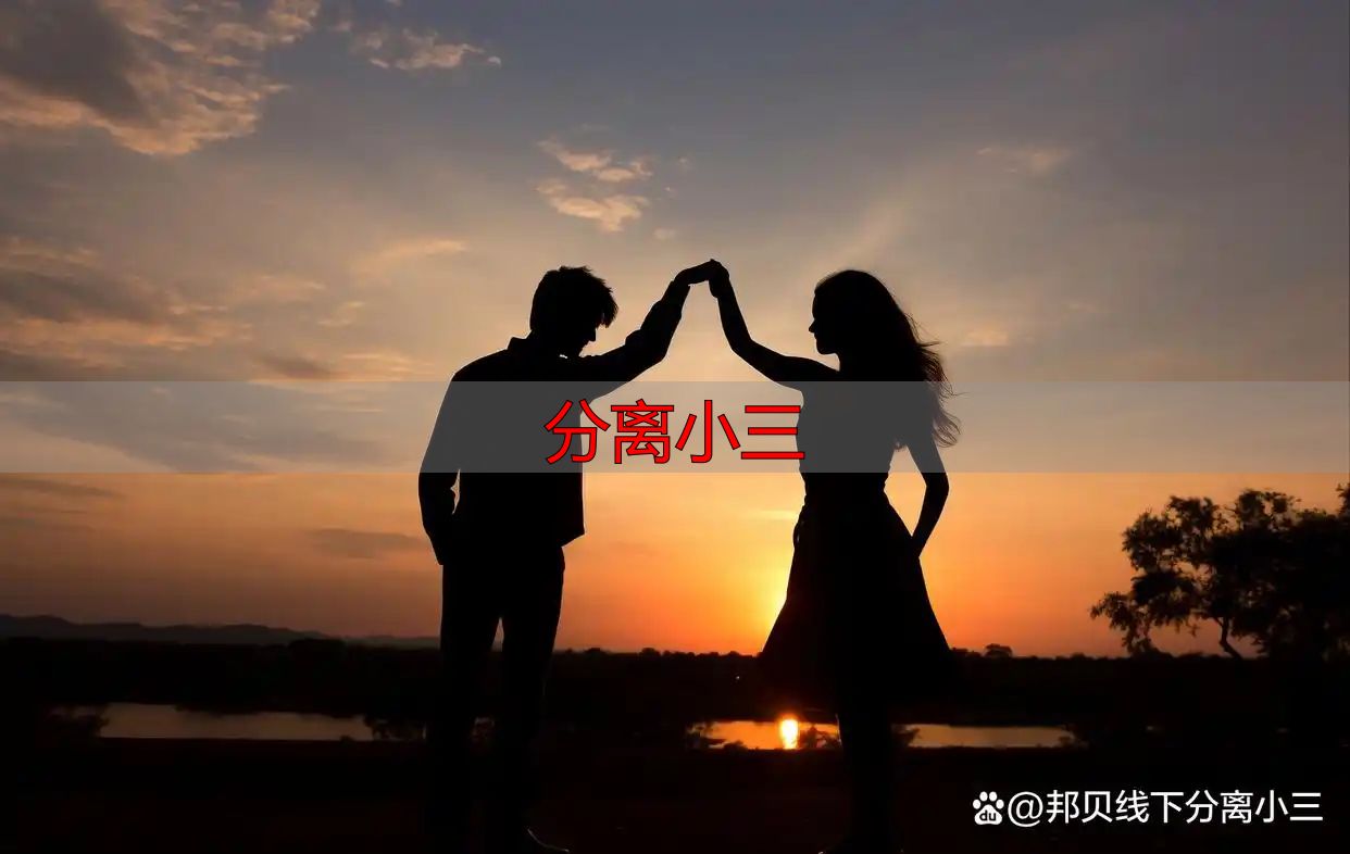 分离小三