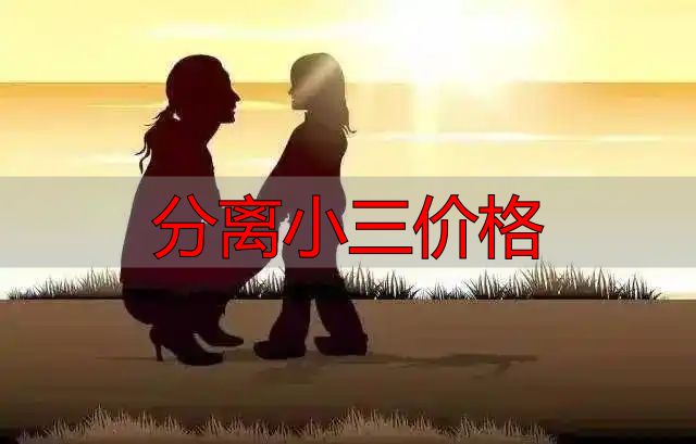分离小三价格