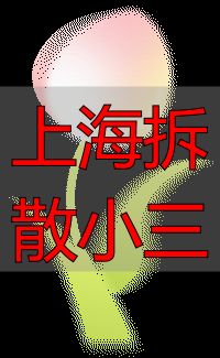 上海拆散小三