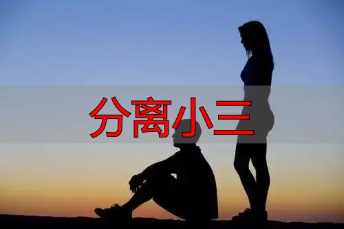 分离小三