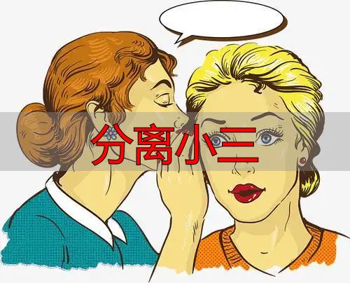 分离小三