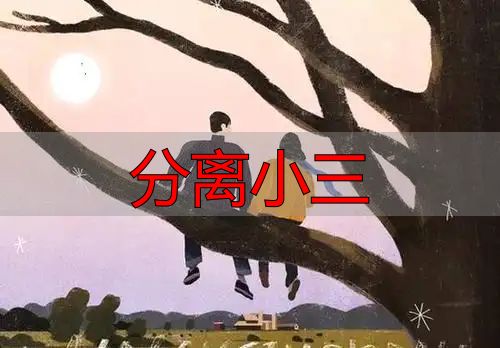 分离小三