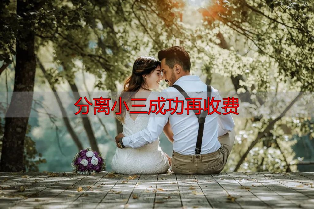 分离小三成功再收费