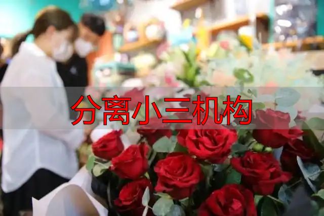 分离小三机构