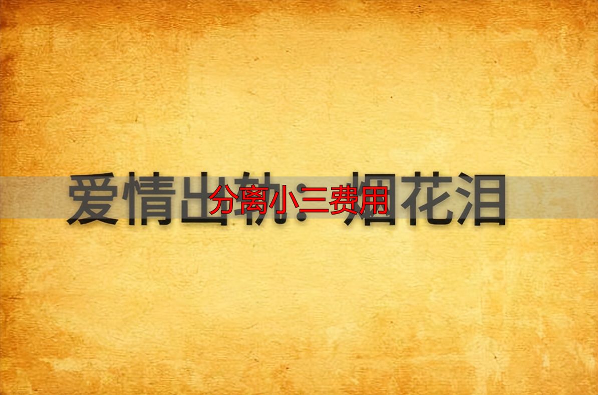 分离小三费用