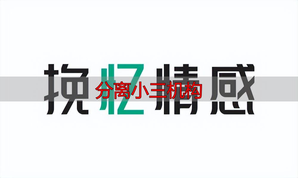 分离小三机构