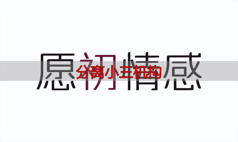分离小三机构
