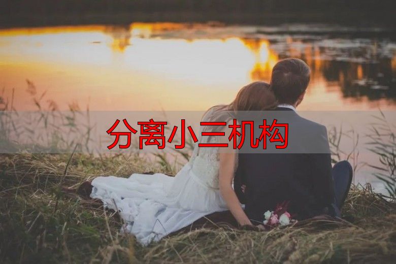分离小三机构