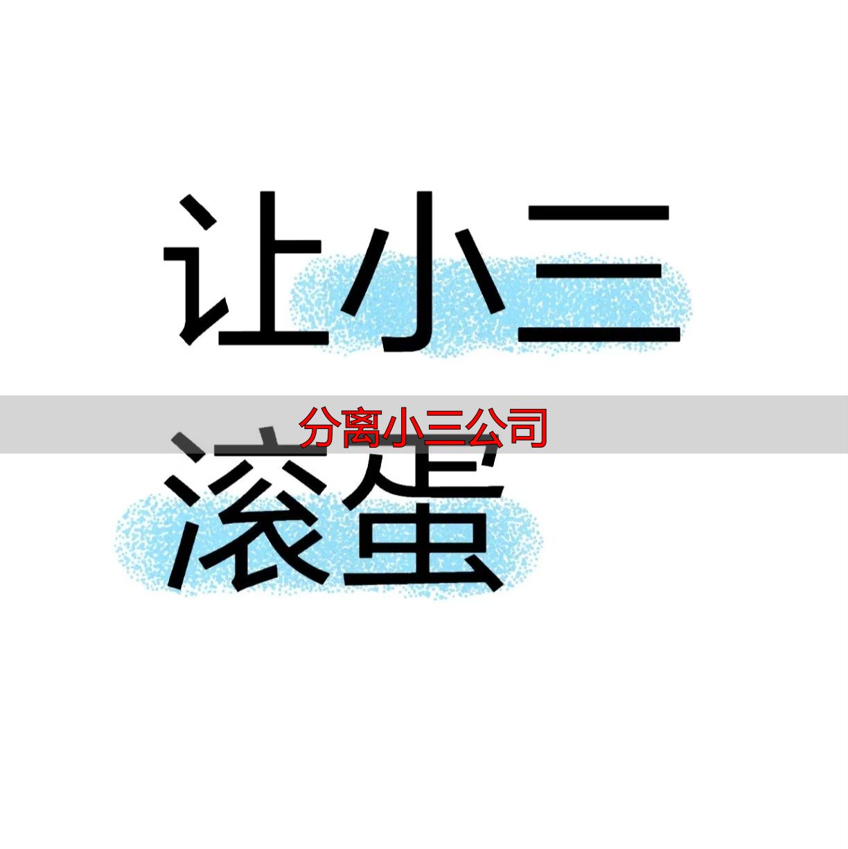 分离小三公司